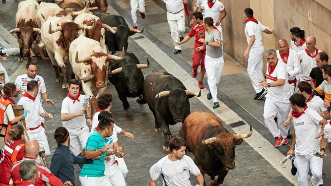Los toros de La Palmosilla en el séptimo encierro de San Fermín