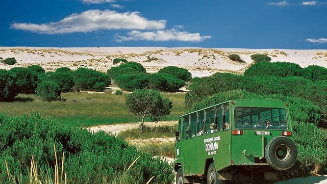Visitar Doñana: guía completa del Parque Nacional