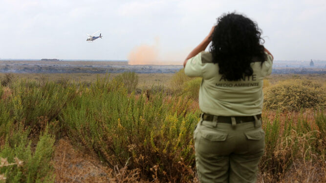 Un agente de Medio Ambiente observa el incendio que sobrevuela un helicoptero.