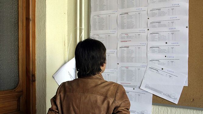 Un padre consulta las listas de admisión de alumnos en un centro de enseñanza de Granada.