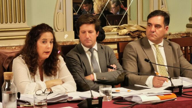 La viceportavoz de Ciudanos, Noelia Álvarez, durante una intervención en el Pleno.
