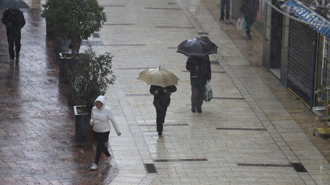 Varias personas caminan bajo la intensa lluvia del lunes en la calle Concepción.