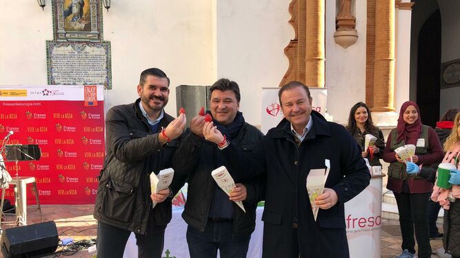 Im&aacute;genes del reparto solidario de fresas en Huelva