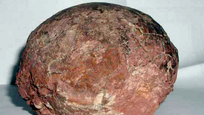 Imagen de archivo de un huevo de dinosaurio fosilizado.
