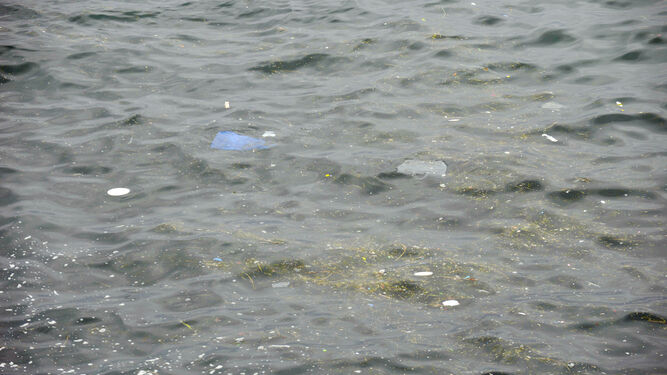Restos de basura en el mar.