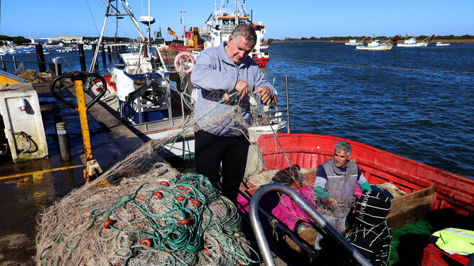Unos pescadores introducen las redes en un barco.