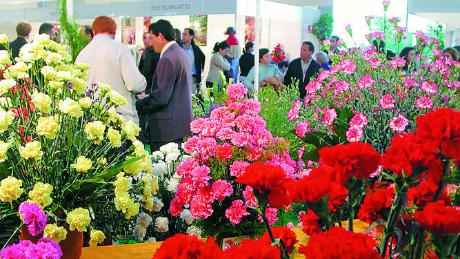 Archivo Feria de la flor cortada de Chipiona.