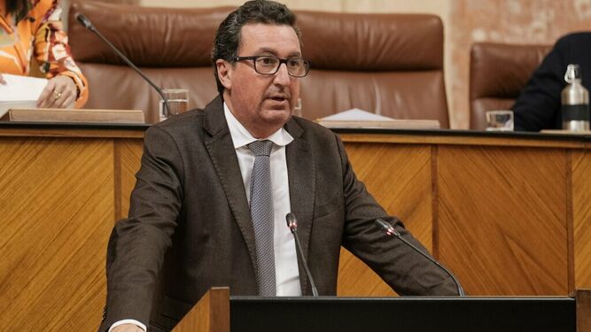El parlamentario andaluz, Manuel Andrés González