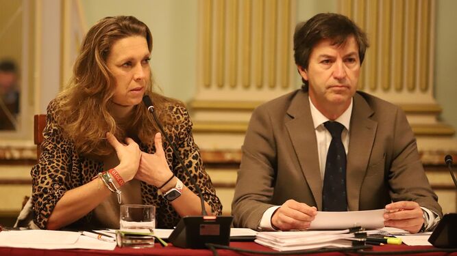 Im&aacute;genes del pleno celebrado en el Ayuntamiento de Huelva