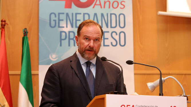 José Luis García-Palacios, presidente de la FOE.