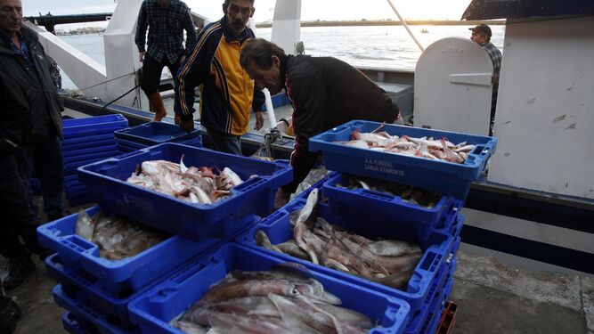 Descarga de pescado en el puerto de Isla Cristina.