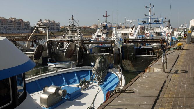 Barcos de arrastre amarrados en el puerto de Punta del Moral.