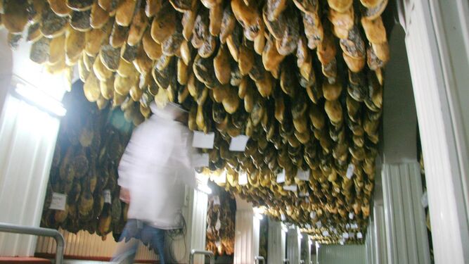 Un secadero de jamones de la provincia de Huelva.