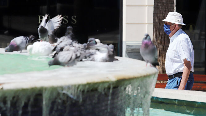 Las palomas beben de una fuente de Huelva en un día de calor.