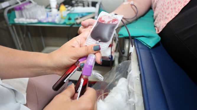 Una sanitaria saca sangre a una donante.
