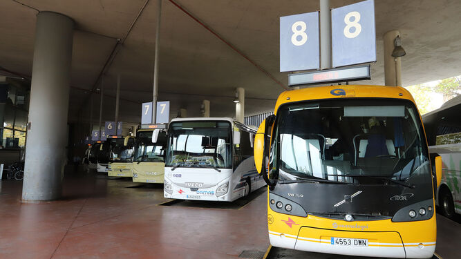 Autobuses en la estación.