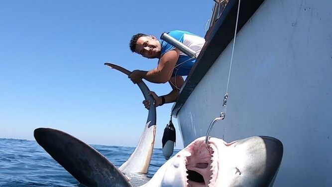El tiburón atrapado por Manuel Fortes.
