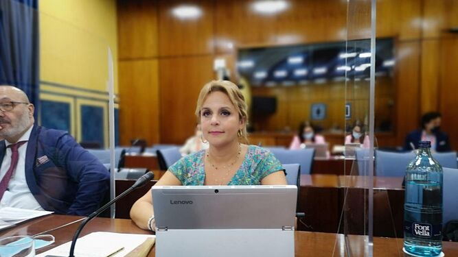 María Gracia González durante la reunión de la comisión