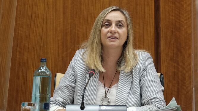 La consejera de Fomento, Marifrán Carazo, en su comparencencia este miércoles en la comisión celebrada en el Parlamento.