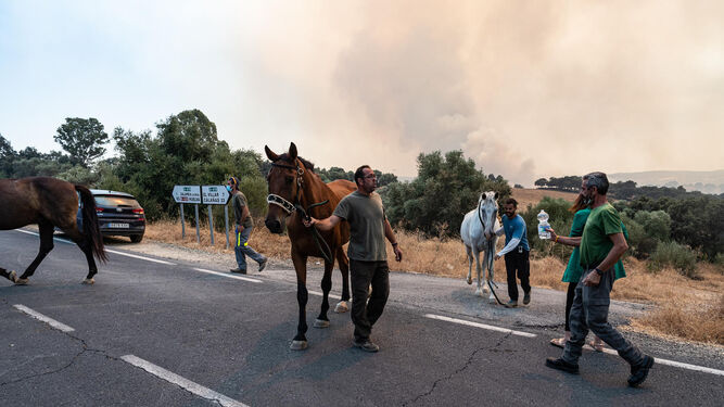Varios propietarios de caballos, poniéndolos a salvo en la carretera que conecta Calañas con Zalamea.