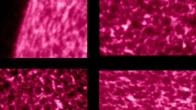 Imágenes de la corona solar captadas por la Sonda Solar Orbiter en julio.