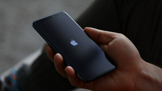 Apple One ofrece en una sola suscripción cuatro servicios.