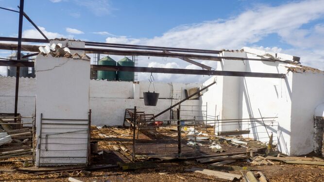 Im&aacute;genes de los destrozos provocados por un tornado en Villanueva de los Castillejos