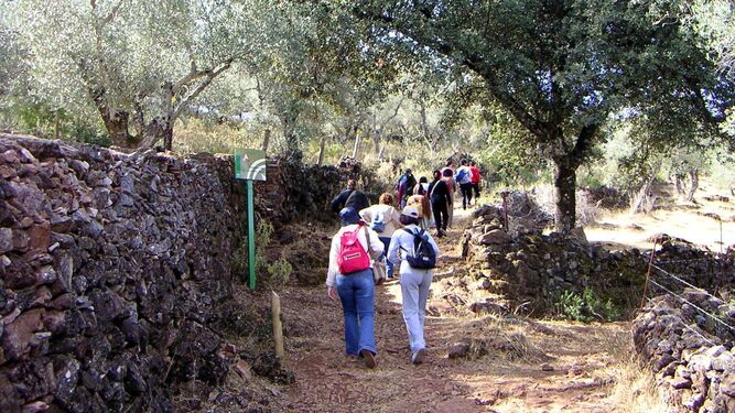 Turistas haciendo senderismo en el Parque Natural Sierra de Aracena y Picos de Aroche.
