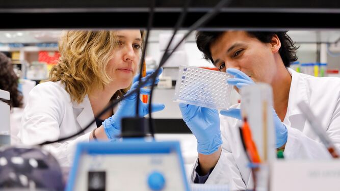 Jóvenes investigadores trabajando en el laboratorio