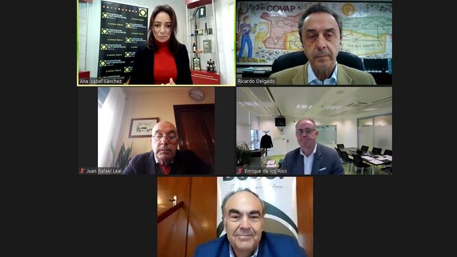 Imagen de la mesa redonda, con los representantes de las cooperativas que tuvo lugar en el webinar de Cooperativas Agro-alimentarias de Andalucía.