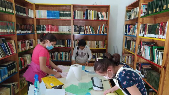Escolares trabajando en la biblioteca de Campofrío.