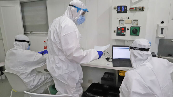 Varios sanitarios trabajan con test realizados en cribados masivos en la provincia de Huelva.