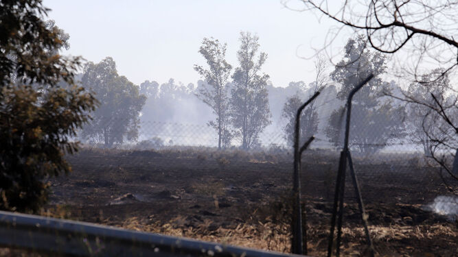 Parte de Doñana afectada por el incendio.