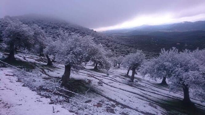 Nieve y escarcha en la Sierra de Aracena durante el fin de semana.