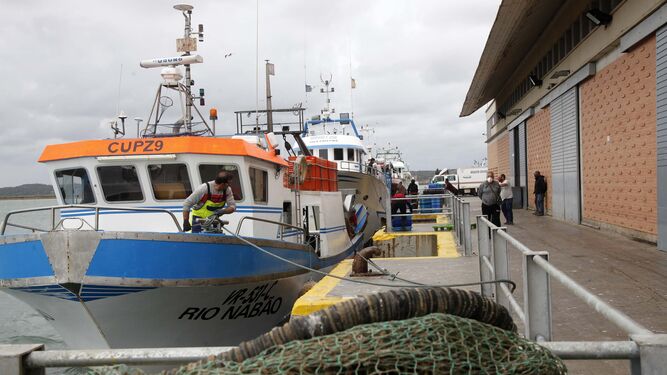 Descarga de capturas pesqueras en el puerto de Isla Cristina .