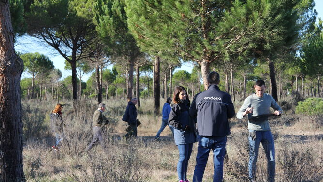 Iniciativa 'Bosque Endesa' en el entorno del parque nacional de Doñana.