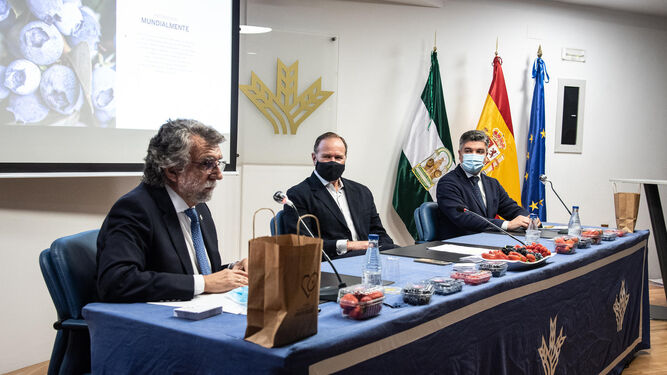 El doctor Antonio Escribano Zafra, en primer término, durante la presentación de ayer, con José Luis García-Palacios y Jorge Juan García Maestre.