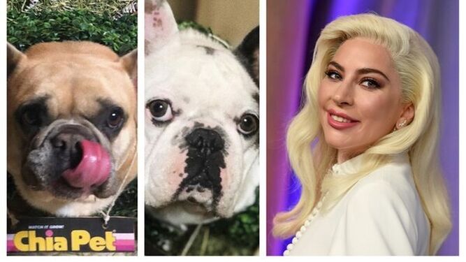 Detienen a 5 individuos por el asalto al paseador de perros de Lady Gaga