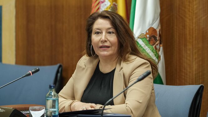 Carmen  Crespo durante una comisión parlamentaria