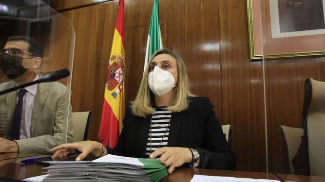 Marifrán Carazo en la Comisión de Fomento del Parlamento de Andalucía