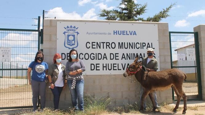 El burro Galileo en el Centro Municipal de Acogida de Animales