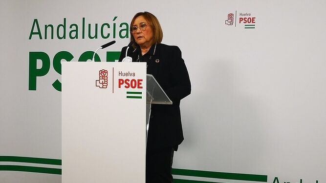 Mª Luisa Faneca en una comparecencia ante los medios.