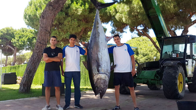 Los tres pescadores posan con el ejemplar en el Club Náutico de Punta Umbría