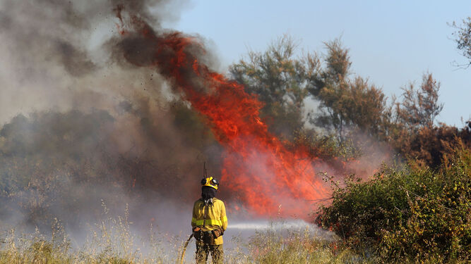 Imagen de archivo de un incendio forestal en la provincia de Huelva.