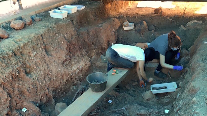 Excavaciones de los arqueólogos en la fosa común de Nerva.