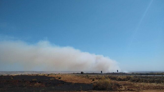 Incendio declarado en el Paraje La Vega en Niebla
