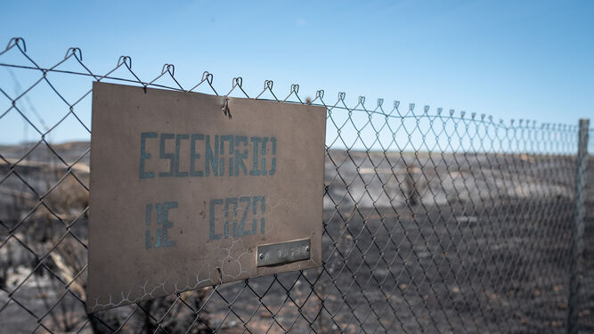La Dehesa Nueva, el lugar más afectado por el incendio de Villarrasa