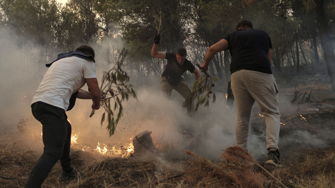 Jóvenes voluntarios luchan contra las llamas en el área de Tatoi, cerca de Atenas.