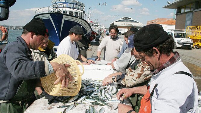 Marineros en el muelle de Huelva después de pescar sardinas