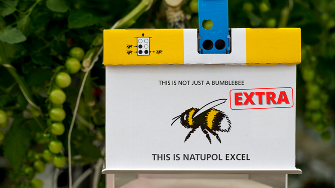 La versión EXTRA de la colmena Natupol Excel se identifica con una pegatina en color rojo.